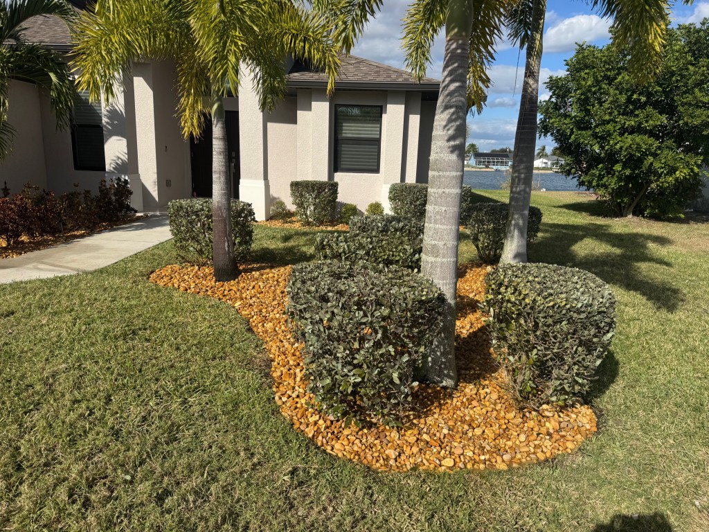 Well-maintained front yard featuring shrubs, palm trees, and decorative gravel landscaping. Beautifully landscaped yard featuring manicured shrubs and decorative stone pathway in Cape Coral.