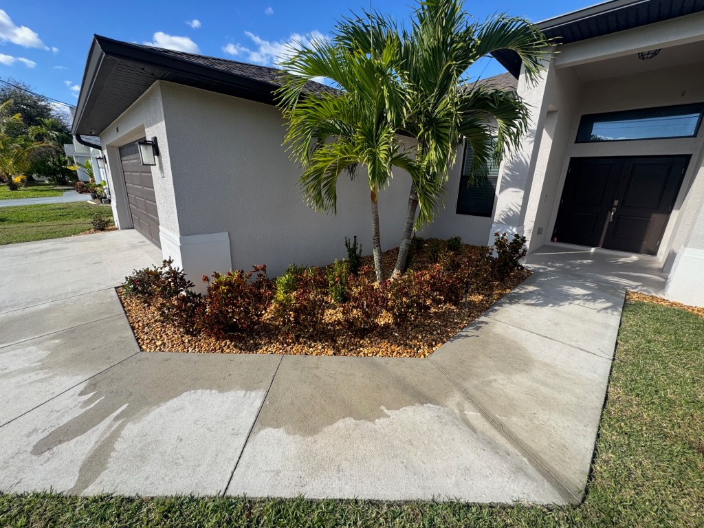 A well-landscaped front yard with a mixture of plants and palm trees next to a clean concrete pathway leading to the entrance of a modern home.
